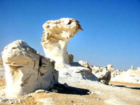 Farafra Oasis