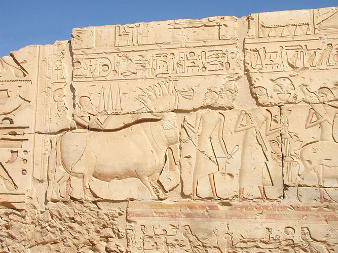 Super Long Cruise Aswan/Cairo